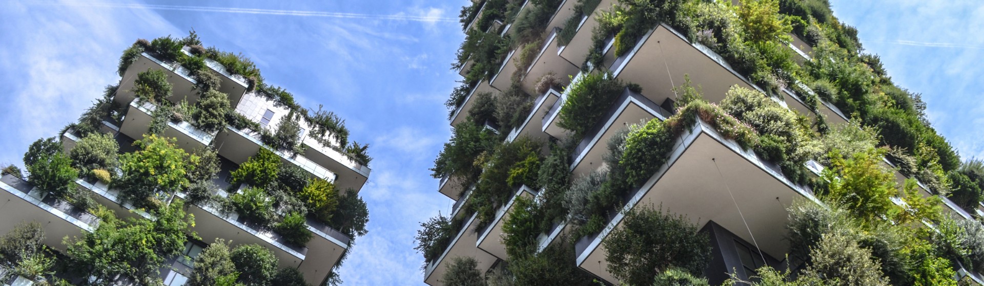 A photograph looking up at high rise commercial building with lots of foliage.